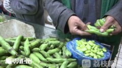 ����������ͯ�����ݿ� ֻ����˼����϶�