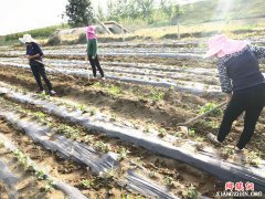 ����ʱ���壺����ί���ɲ���ͷ����ԱȺ�ڲ���������ǿ���徭��