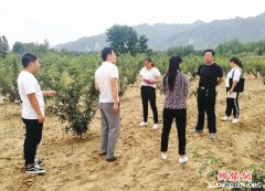 �����������˴��ũҵũ���������������в�ҵ��չ����