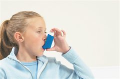 ���������� �ļ�Ḭ̄��