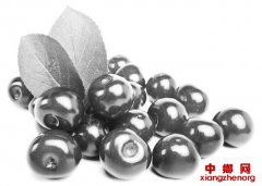 ���������������ʣ��������������