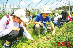 ���С������������ڡ� ˼������֪��ζ��Ȥ