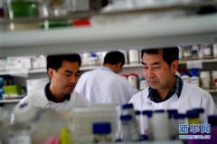 �ҹ��з�ŵ�粡���ļ�������������ٴ��о�