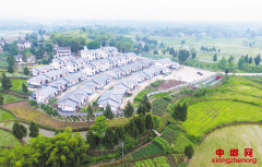 �㰲���׵ذ�Ǩ ��Ⱥ�ڹ��Ϻ�����