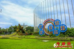 ���ϣ�����������������������ɫ��