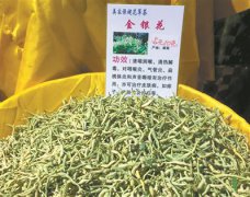 ��������ȥʪ ���ԡ��廨�衱