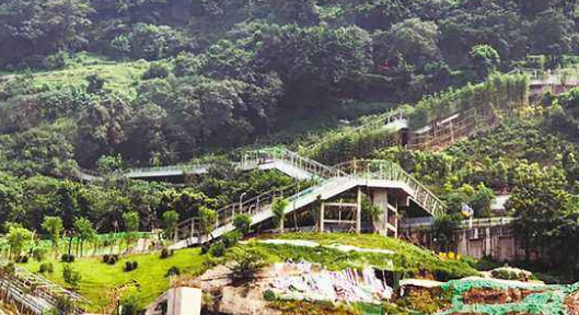 <b>綯±ڲ</b>
