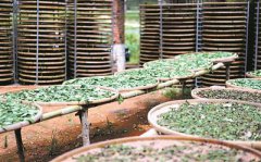 һ���������ȣ�����ὡ���غȲ���