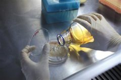 �ļ��Ա����С��ʿ������ʱҪע���װ�Ƿ�����