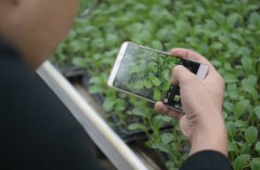 ������������ũ��Ǯ���ӡ�