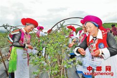 ��ת����������