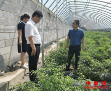 ����;����������������־������������ׯ�������ָ��