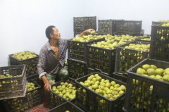 ���ݣ���Ϫũ���Խ�⨺��ұ��ʿ�ʵ�ַ���������