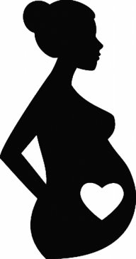 ������׿����ǲ��Ǹ����ӡ�