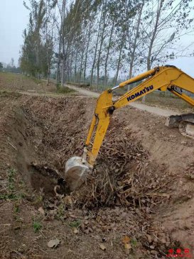 ���գ��ų����ߺá����ա����һ����