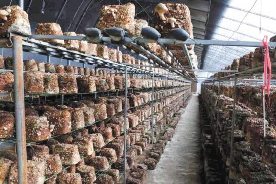 ۽ҵչ ЯֹСʵƽ·ƶЭʵ