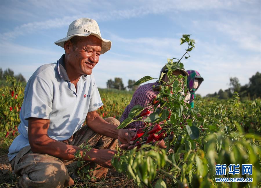 (在习近平新时代中国特色社会主义思想指引下——新时代新作为新篇章·总书记关切高质量发展·图文互动)(1)翻过“贫困”山,通向“幸福”站——脱贫攻坚“歼灭战”里的小故事