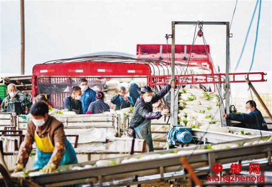 ֧Ԯս���ߡ�