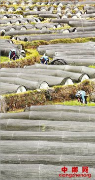 פһһ(ͳץøĸ﷢չȶ)