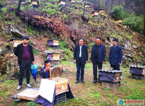 ݣߺȺ· ʤƶ̸֮ɳί