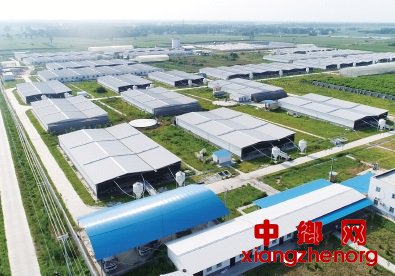 牧原集团140多项创新发明用于环保粪污综合利用迈上新