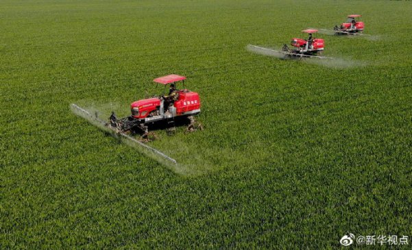 �ҹ����������ٻ���ճ� Ԥ�Ʋ��������ֽϸ�ˮƽ