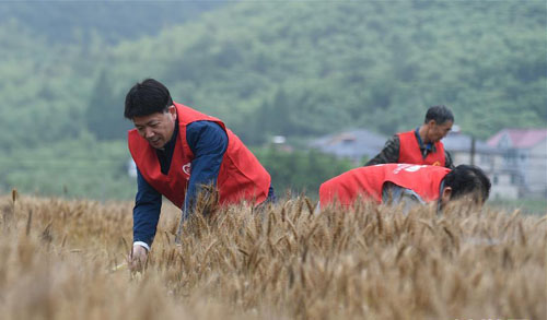 �㽭���壺�����ո� ־Ը����