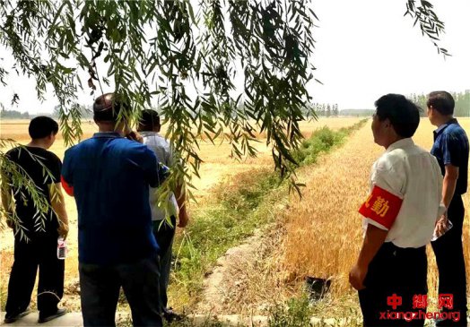 ɽ��۰�ǣ���������һ��ǡ���ҹֵ��������������һ�ߡ�