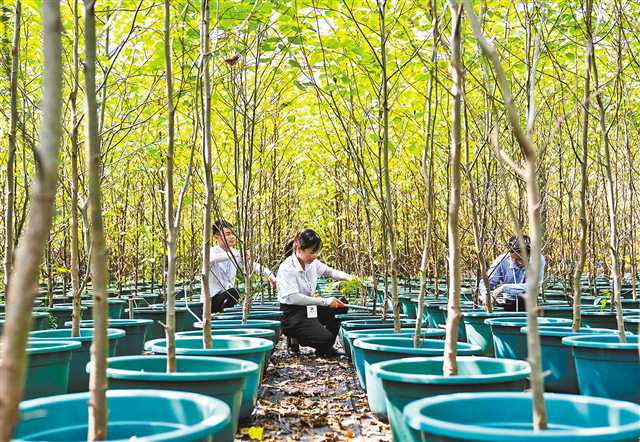 ������Σ��ϡֲ�� �ػ����������ֻ���⡱