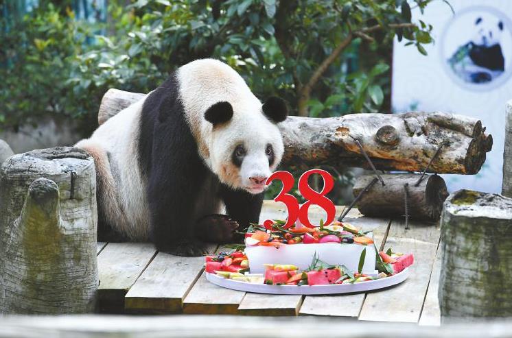 ����è�������ǡ�����