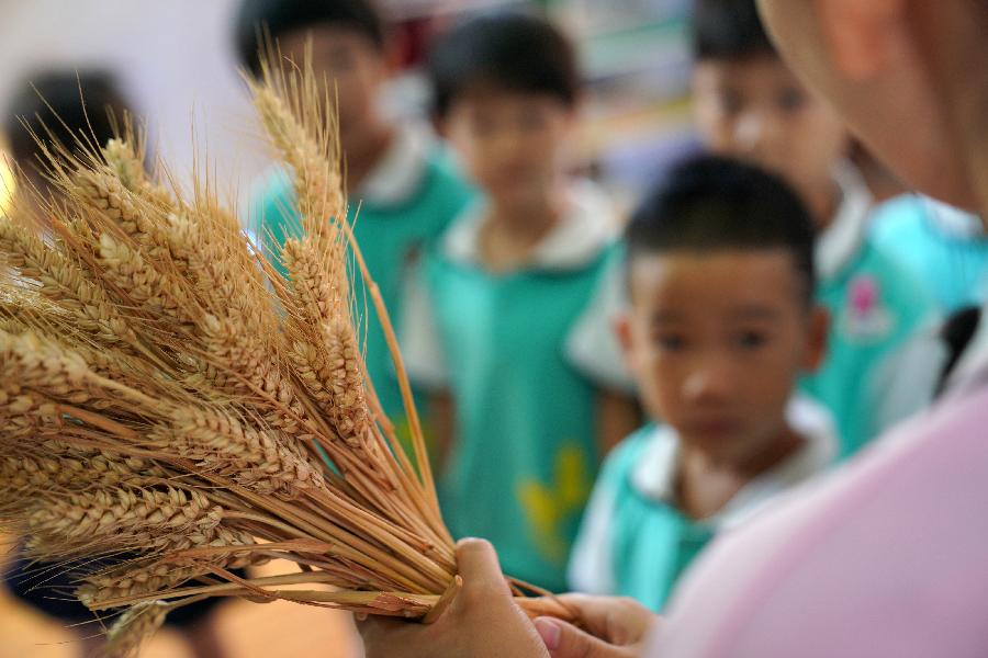 ���Ϻ�����Ҳ�����˷�