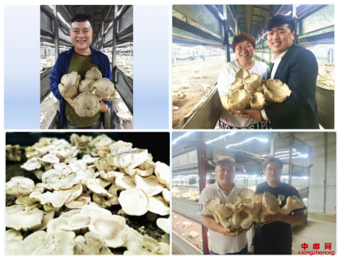 ͼũҵƼũ塱Ĵйݣ̬ũҵչᵹʱ