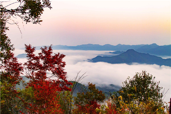 ջɽɽ֮ һݴġԼᡱ