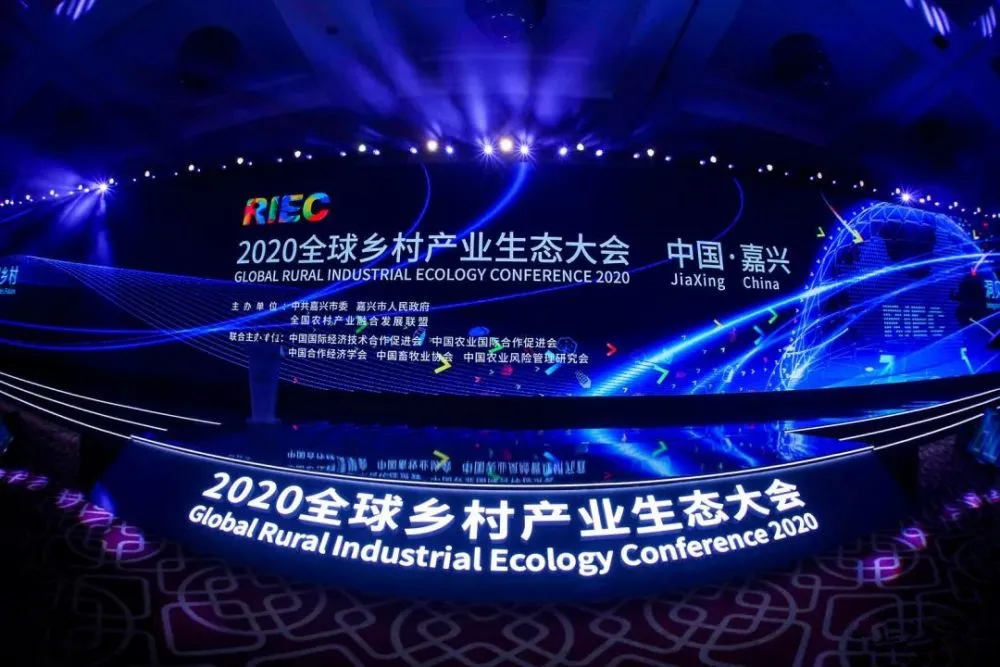 2020ȫ������ҵ��̬����ٿ��ڽ��������ٿ�