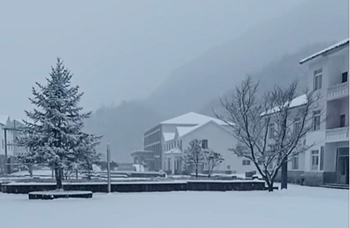 Ϫذӡǿڻưӵѩµô