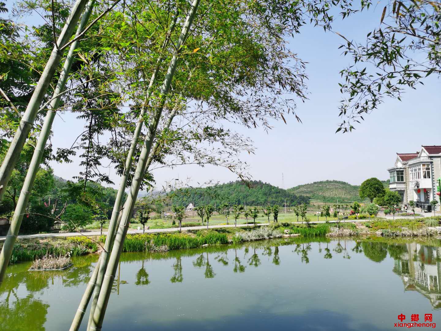 广西崇左市各地建成区排名，最小是大新县，你的家乡排第几呢？_城区