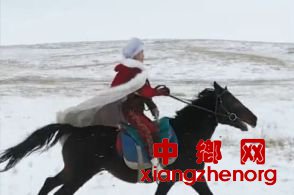 timg (11)