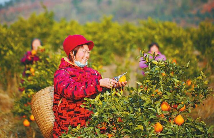 �ܶ�������һ��