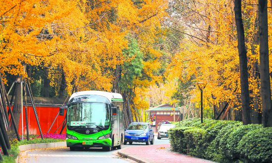 �ڳɶ� ��ͨ�ڳ�Ϊ�ḻ��ʵ���������