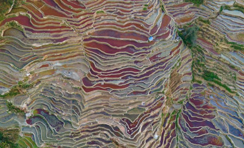 ����Ԫ�����ƶ˵�ǧ�������