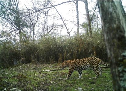 �Ĵ���Ͱկ�������״��ĵ���Ǯ��