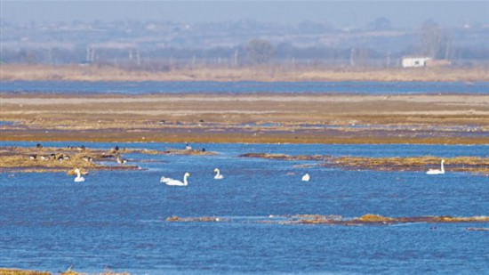 ���������ƺ�ʪ��