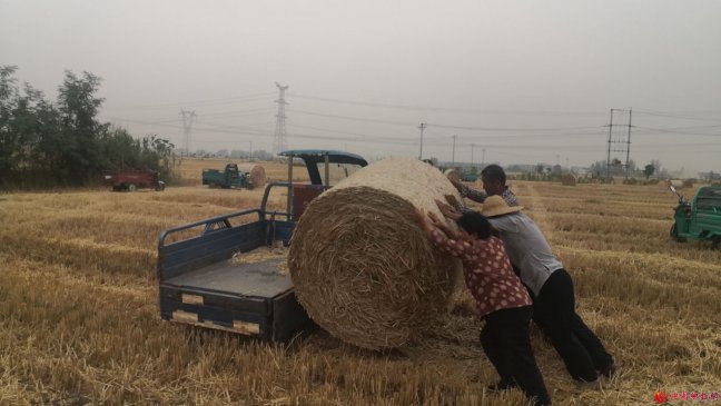 ոׯ조Ĳʵ缾ոѽչ