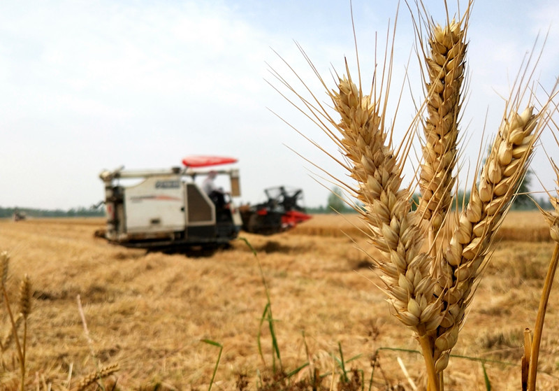 ɽ۰ǣһ绰 Ա﹤ӡǰ