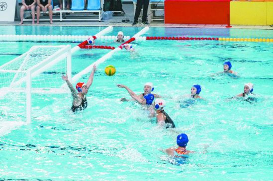 ������˹�԰�仧�ɶ� ���˻���ƻ���Ļ����