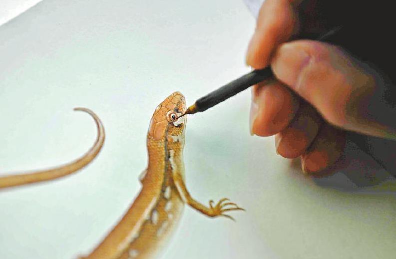 ��������ġ����顱��ʦ