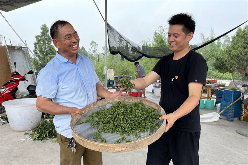 四合村村支书与罗金海共享丰收喜悦 。泸县融媒体中心供图