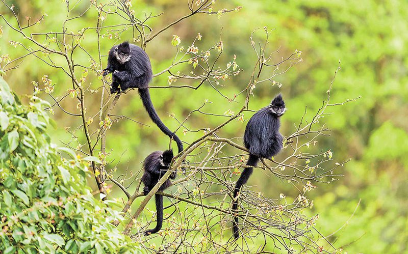 ������ϡ��ΣҰ����ֲ����Ⱥʵ�ָֻ�������