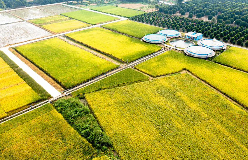 Ԭ¡ƽ�����Ŷ����ɵ�������ר�õ���Ʒ��