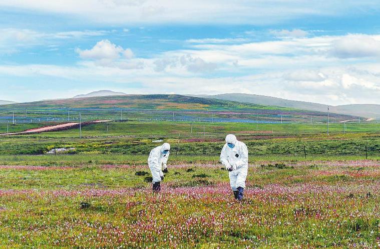 ���𵽿� ��ԭս��